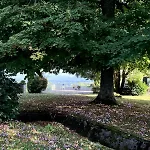 Chateau Avec Vue Sur La Loire