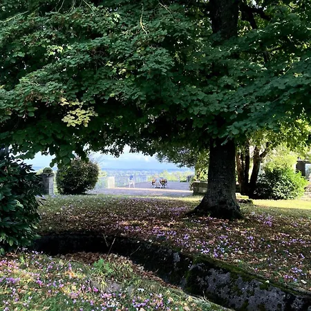Chateau Avec Vue Sur La Loire