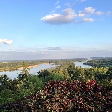 Chateau Avec Vue Sur La Loire Chenehutte-Treves-Cunault