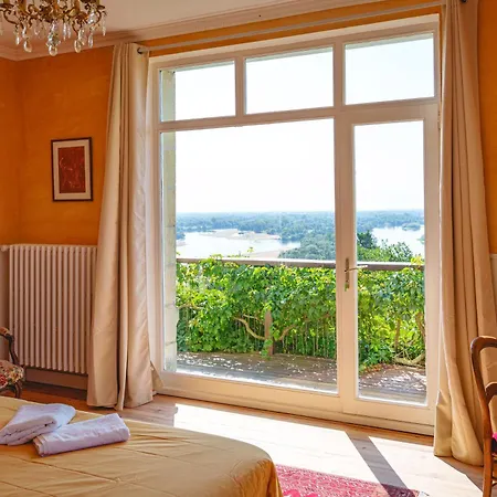 Chateau Avec Vue Sur La Loire