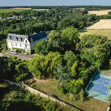 Chateau Avec Vue Sur La Loire Chenehutte-Treves-Cunault