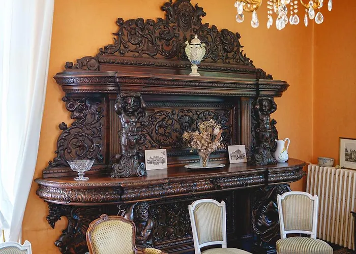 Chateau Avec Vue Sur La Loire 4* 舍内赫特勒斯图弗